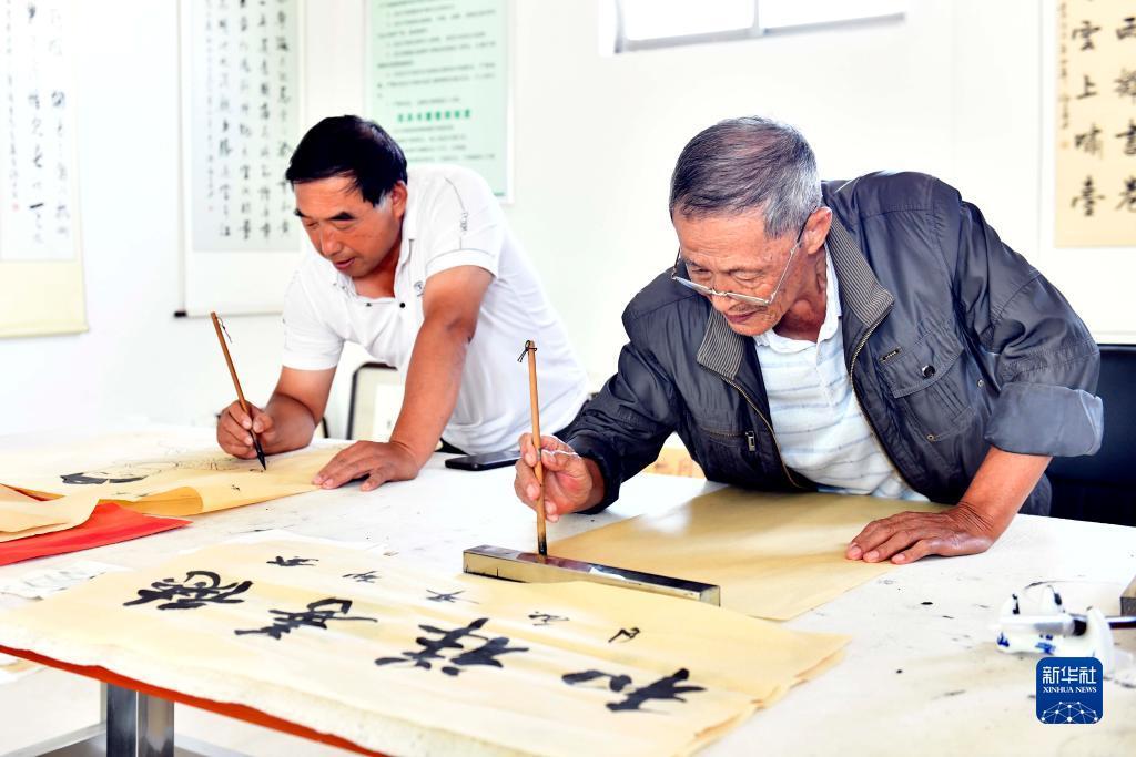 百家什乐鲨鱼分析软件